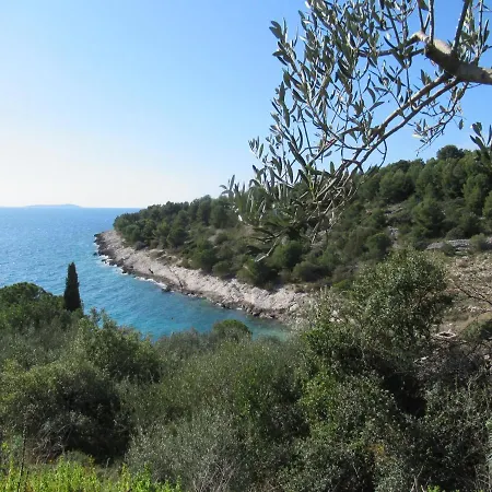 Daire Summer Dream Directly At The Sea